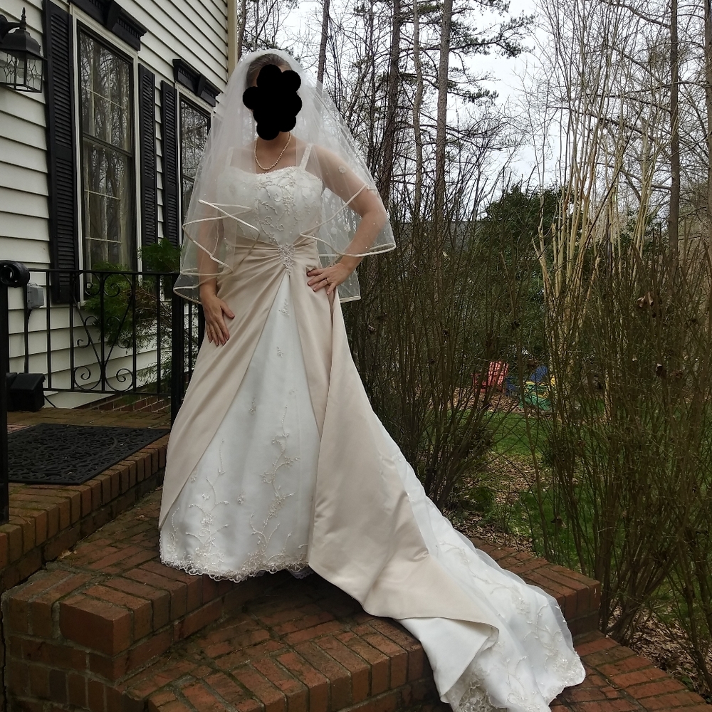 David's Bridal Michaelangelo Dress